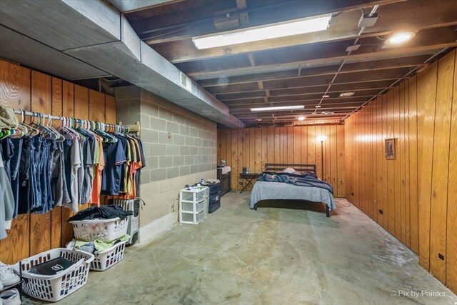 basement with wooden walls