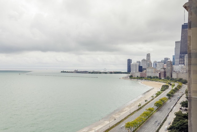 1440 N Lake Shore Dr Unit 22Abcd, Chicago, IL 60610 - water view featuring a view of city