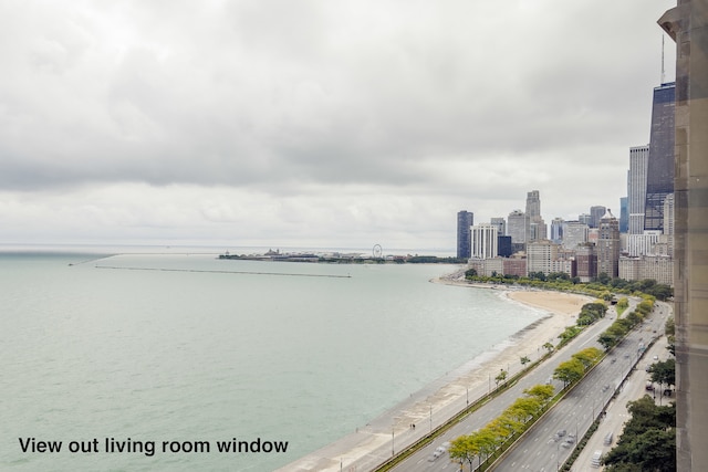 water view featuring a view of the beach