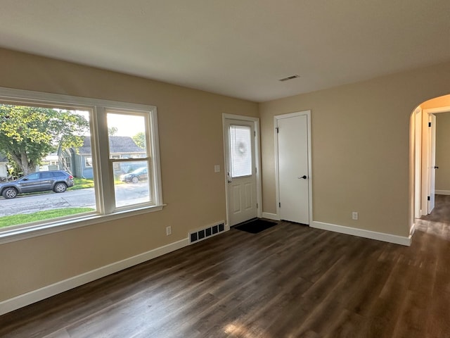 foyer entrance featuring a wealth of natural light and dark wood-type flooring