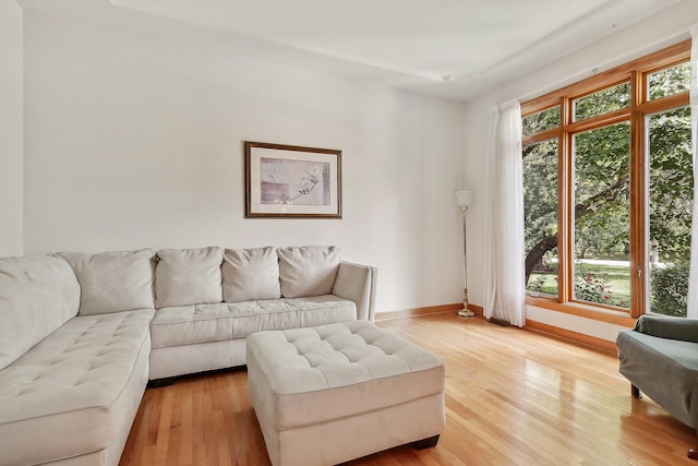 living room with hardwood / wood-style flooring and plenty of natural light