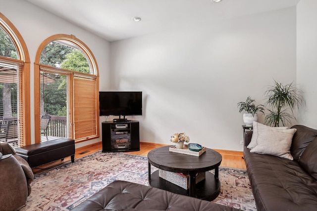 living room with hardwood / wood-style flooring