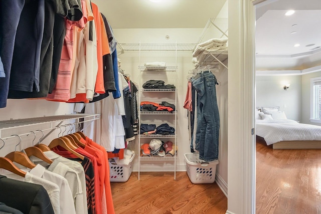 spacious closet featuring wood finished floors