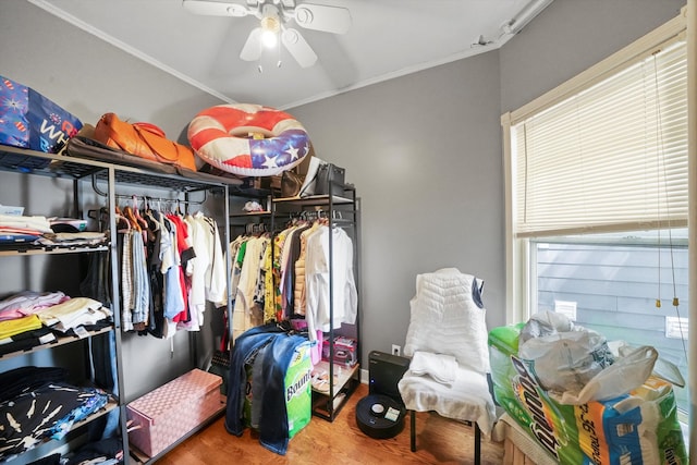 walk in closet with ceiling fan and wood-type flooring