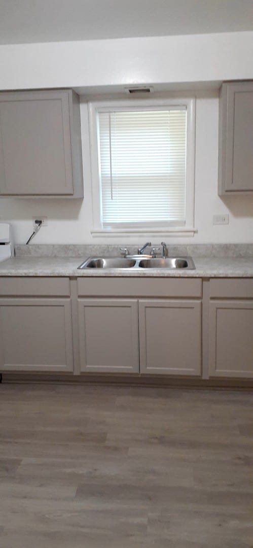 kitchen featuring gray cabinetry, hardwood / wood-style floors, and sink