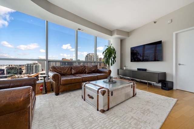 living room featuring light hardwood / wood-style floors