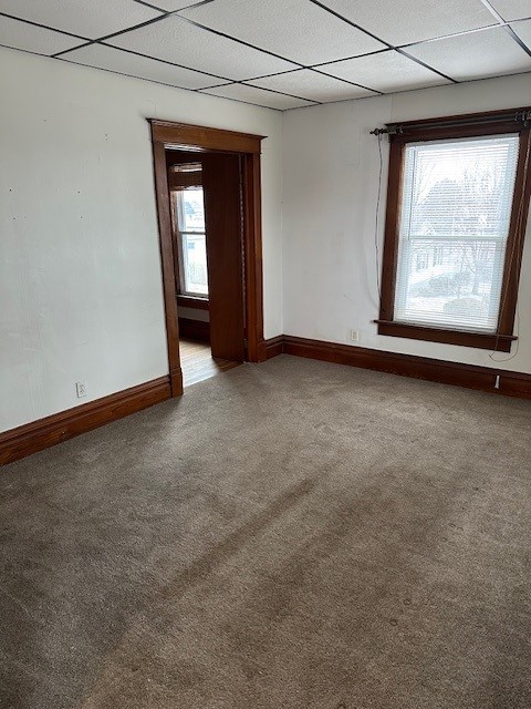 carpeted empty room with a drop ceiling and plenty of natural light