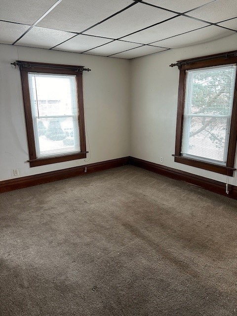 carpeted empty room featuring a drop ceiling