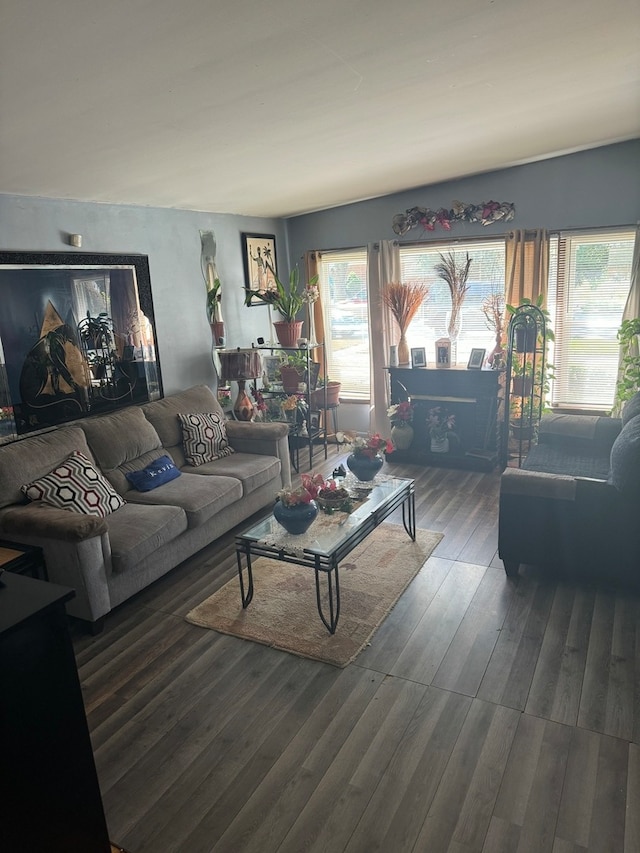 living room featuring dark hardwood / wood-style floors