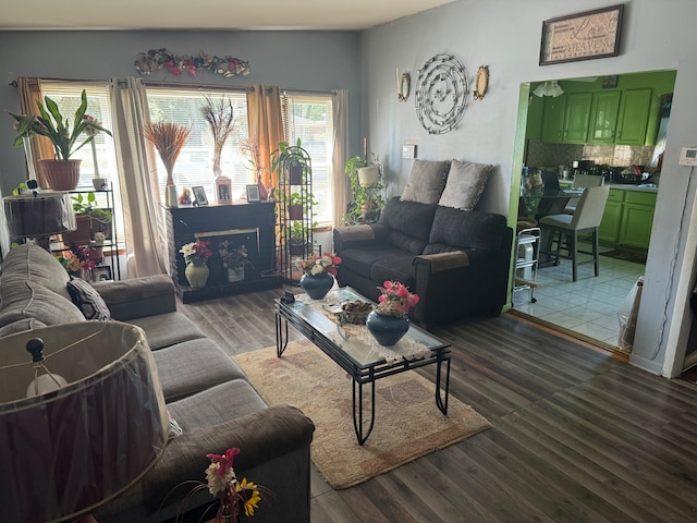 living room featuring a fireplace and hardwood / wood-style floors