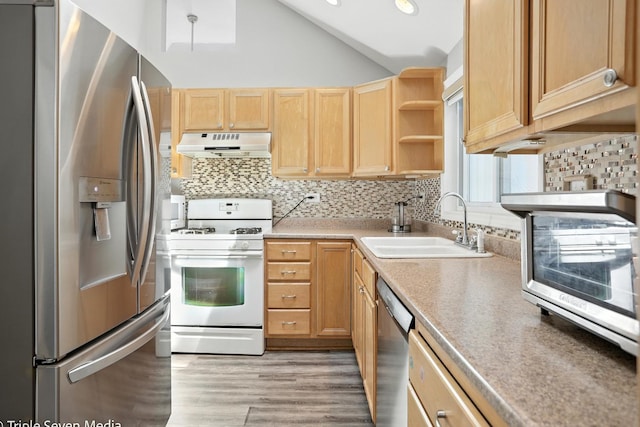 28629 W Ravine Dr, Barrington, IL 60010 - kitchen with stainless steel appliances, under cabinet range hood, vaulted ceiling, light wood finished floors, and light brown cabinets