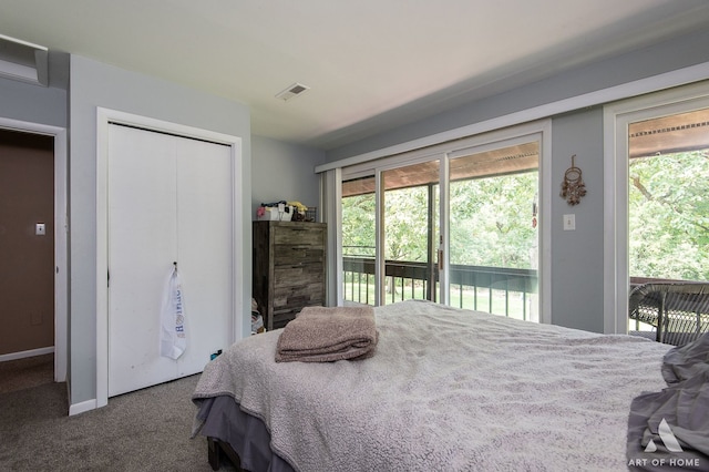 bedroom featuring carpet floors, access to outside, a closet, and multiple windows