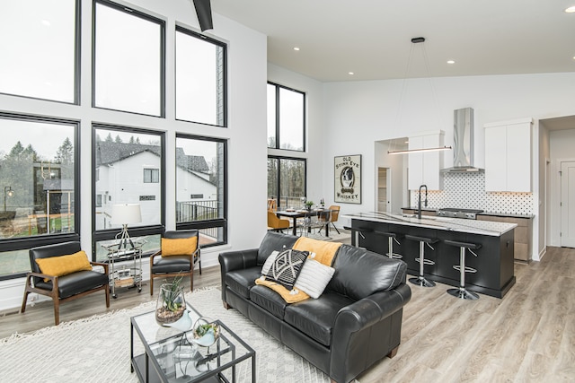 living room featuring high vaulted ceiling and light hardwood / wood-style flooring