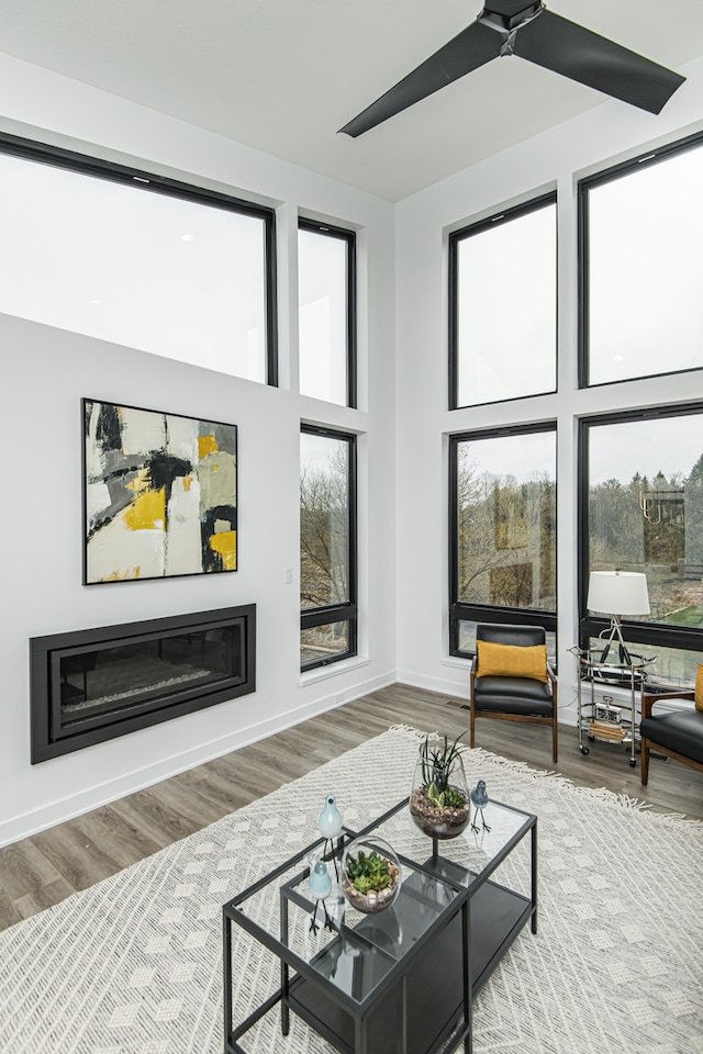 living room with ceiling fan and hardwood / wood-style floors