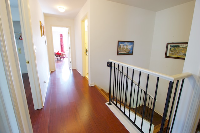 hall featuring dark wood-type flooring