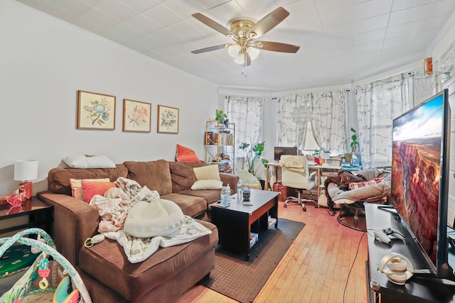 living room featuring light wood-type flooring, ceiling fan, and ornamental molding