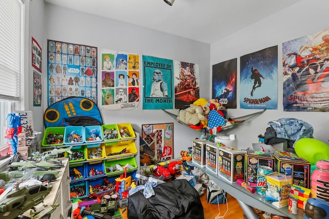 playroom featuring wood finished floors