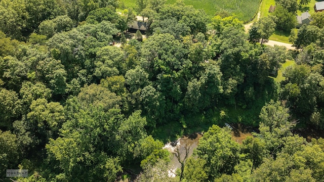 bird's eye view featuring a view of trees