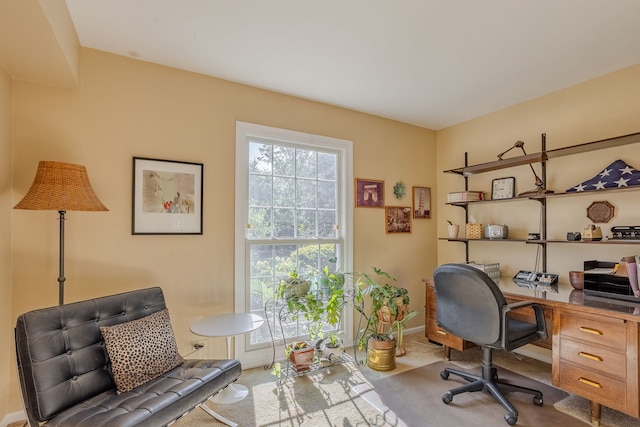 home office with carpet