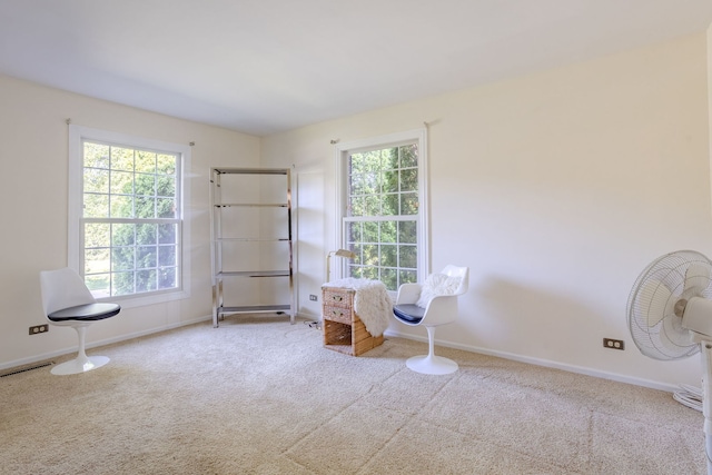 unfurnished room featuring a wealth of natural light and carpet floors