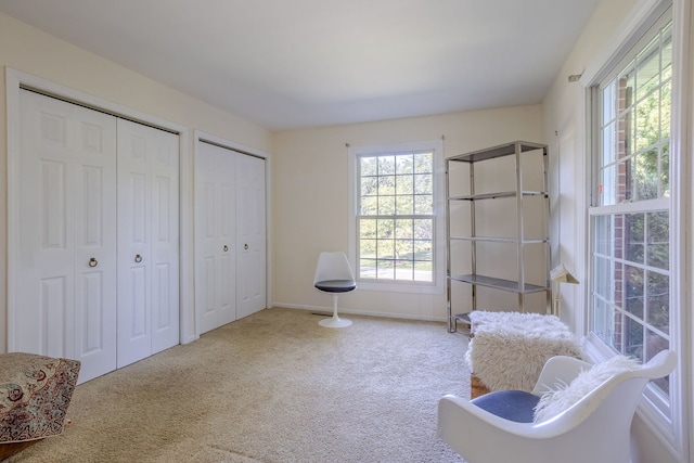 sitting room with carpet