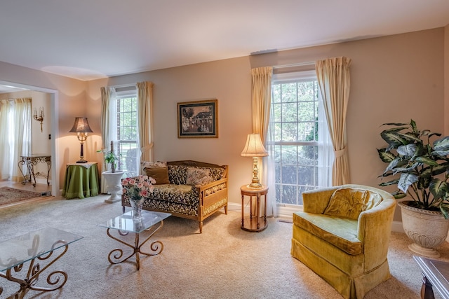 sitting room featuring carpet flooring