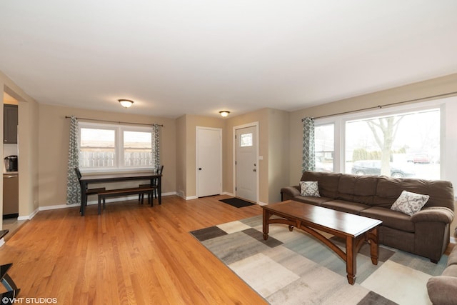 living room featuring hardwood / wood-style flooring