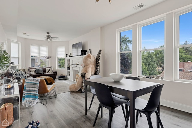 dining room featuring a wealth of natural light, light hardwood / wood-style flooring, and ceiling fan