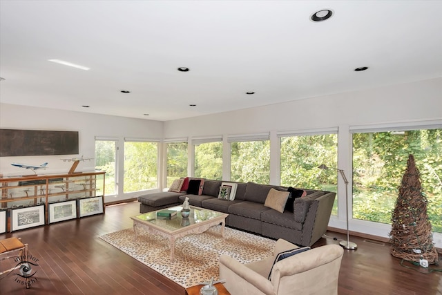 living room featuring dark hardwood / wood-style floors