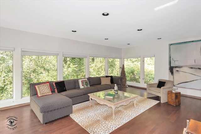 living room with a wealth of natural light and dark hardwood / wood-style floors