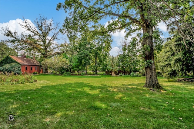 view of yard featuring an outdoor structure