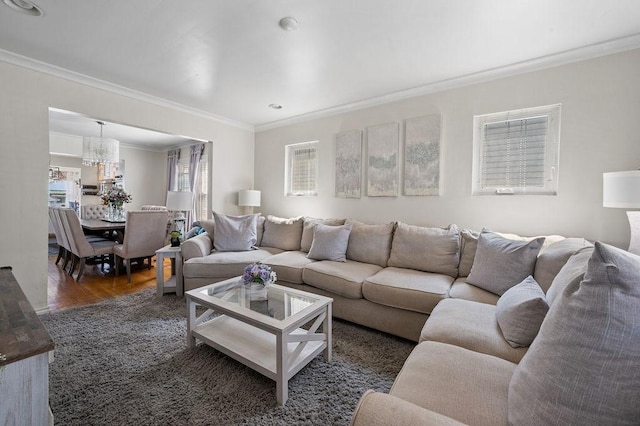 living room featuring crown molding and wood finished floors