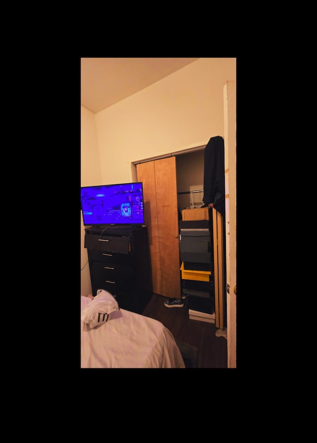 bedroom featuring a closet and dark wood-type flooring