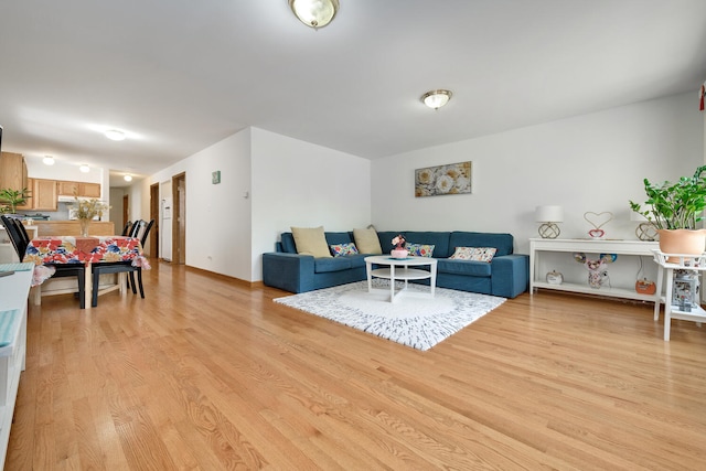 living room featuring light hardwood / wood-style floors