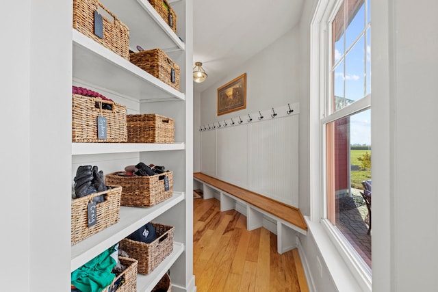 mudroom featuring wood-type flooring and a healthy amount of sunlight