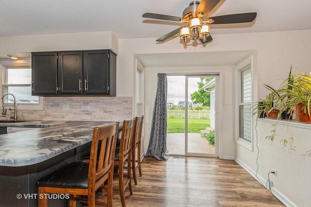 15312 Sunshine Cir, Plainfield, IL 60544 - kitchen featuring backsplash, wood finished floors, a sink, dark cabinets, and a ceiling fan
