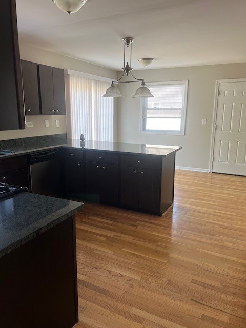 kitchen featuring dark brown cabinetry, hanging light fixtures, light hardwood / wood-style flooring, and dishwasher