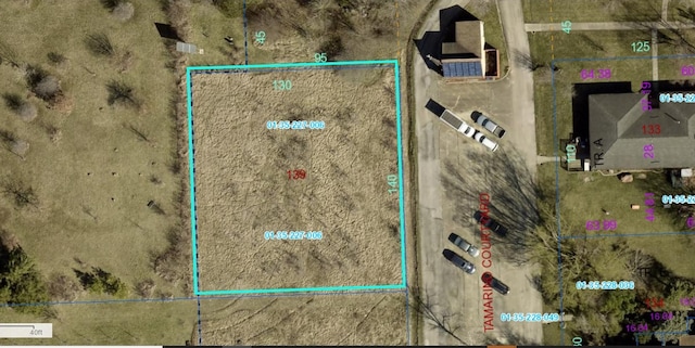 139 Tamarind Ct, Cabery IL, 60919 land for sale