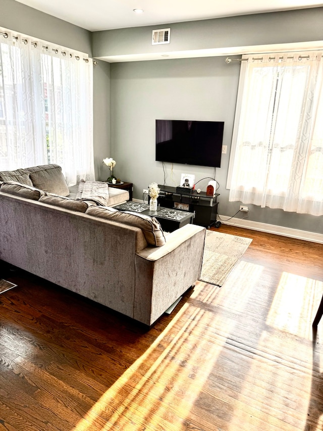 living room featuring hardwood / wood-style floors