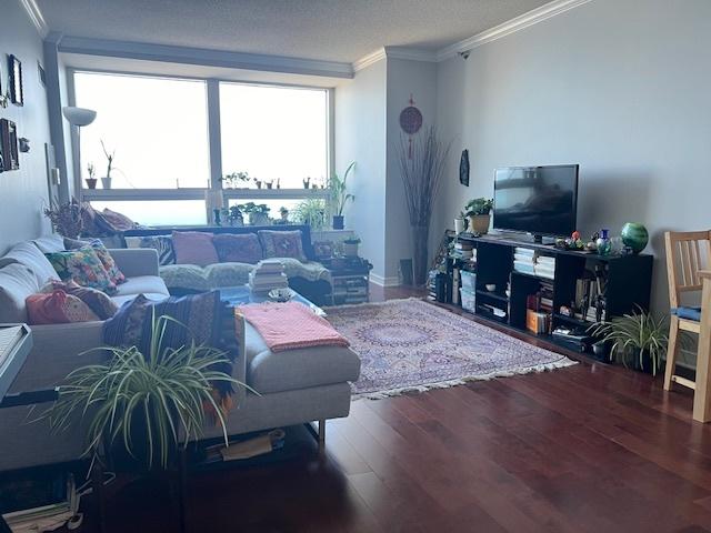 living room with hardwood / wood-style flooring, a healthy amount of sunlight, crown molding, and a textured ceiling