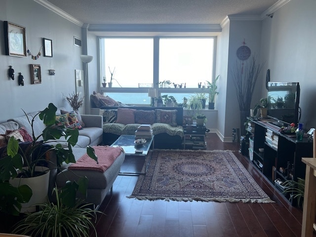 living room with hardwood / wood-style floors, crown molding, and a textured ceiling