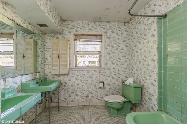 full bathroom featuring a wealth of natural light, plus walk in shower, sink, and toilet