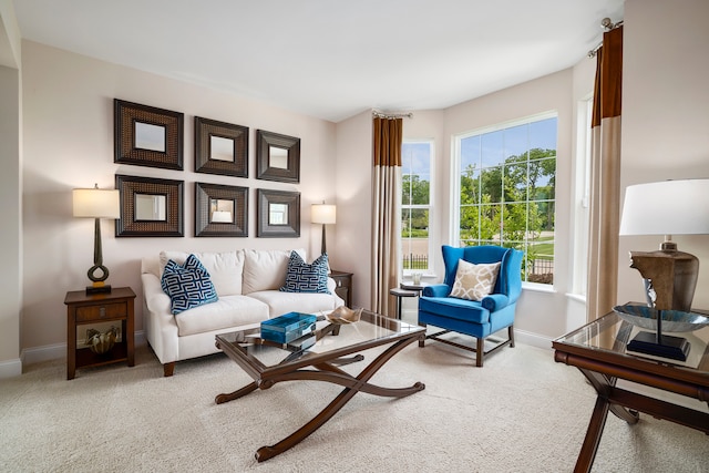 view of carpeted living room