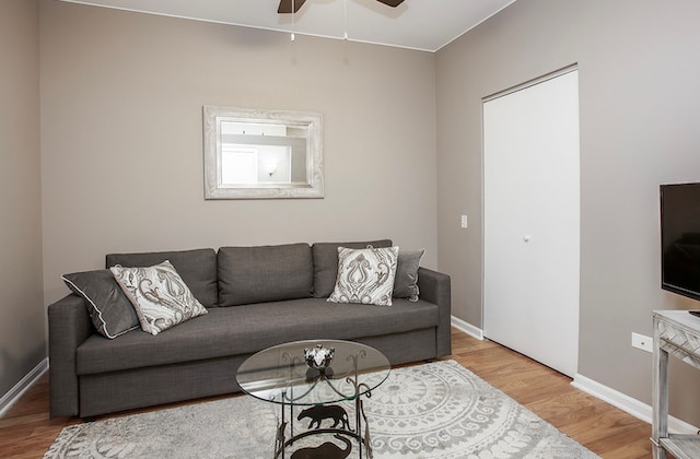 living room with ceiling fan and wood-type flooring