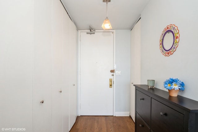 doorway to outside featuring wood-type flooring