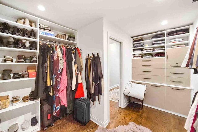 680 N Lake Shore Dr Unit 519, Chicago, IL 60611 - walk in closet featuring wood finished floors