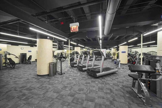 680 N Lake Shore Dr Unit 519, Chicago, IL 60611 - workout area with carpet floors