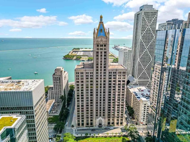680 N Lake Shore Dr Unit 519, Chicago, IL 60611 - exterior space with a view of city and a water view