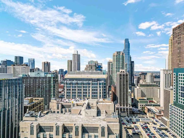 680 N Lake Shore Dr Unit 519, Chicago, IL 60611 - city view