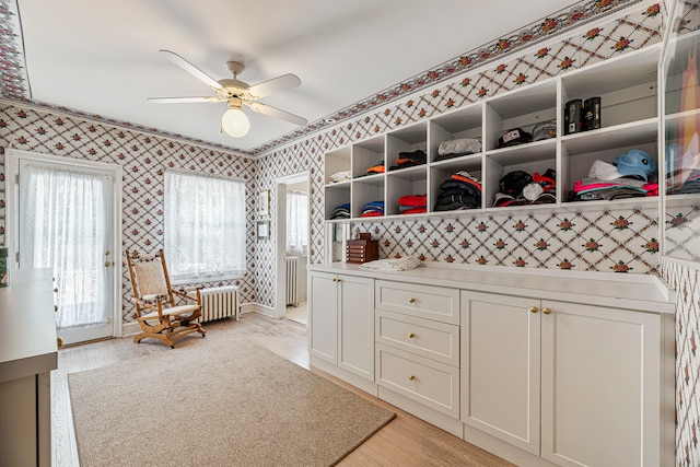 walk in closet featuring ceiling fan, radiator, and light hardwood / wood-style floors